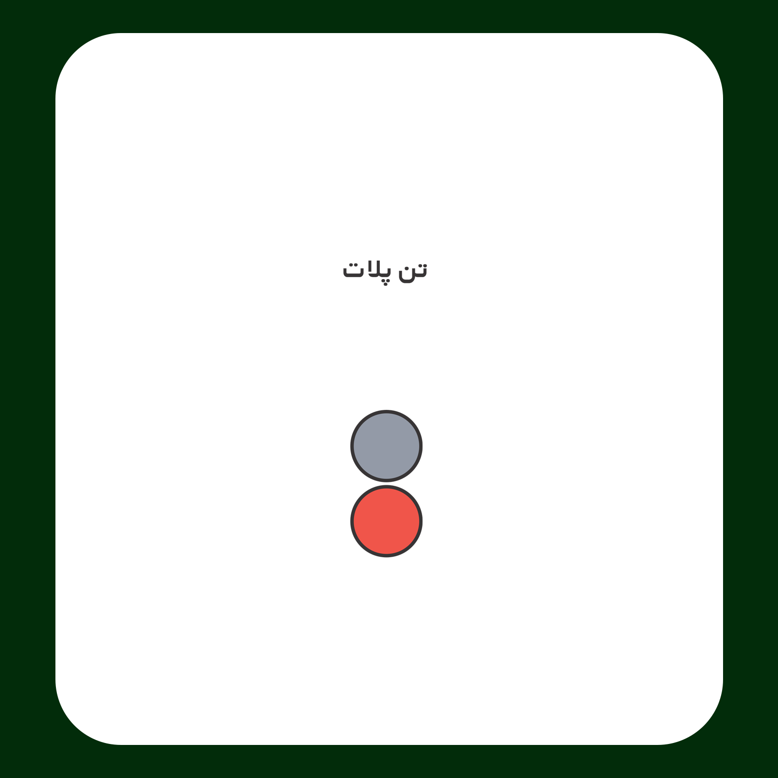 کالیته رنگ طرح سیلک US Polo مناسب چاپ روی پیش تیشرت