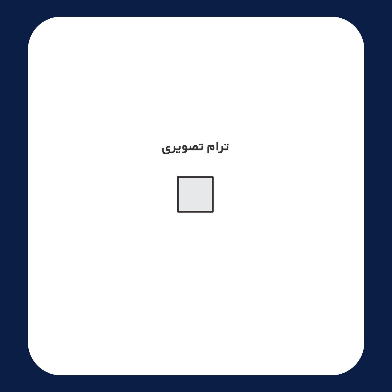 کالیته رنگ طرح سیلک Alexander Wang مناسب چاپ روی پشت تیشرت