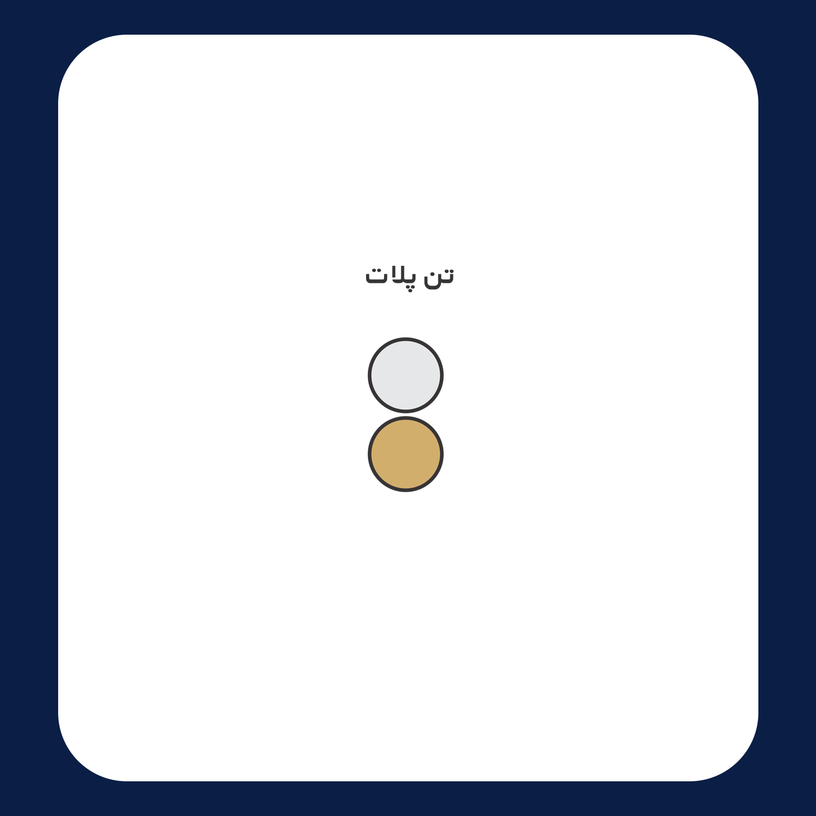 کالیته رنگ طرح سیلک Amiri Atlanta مناسب چاپ روی پیش تیشرت