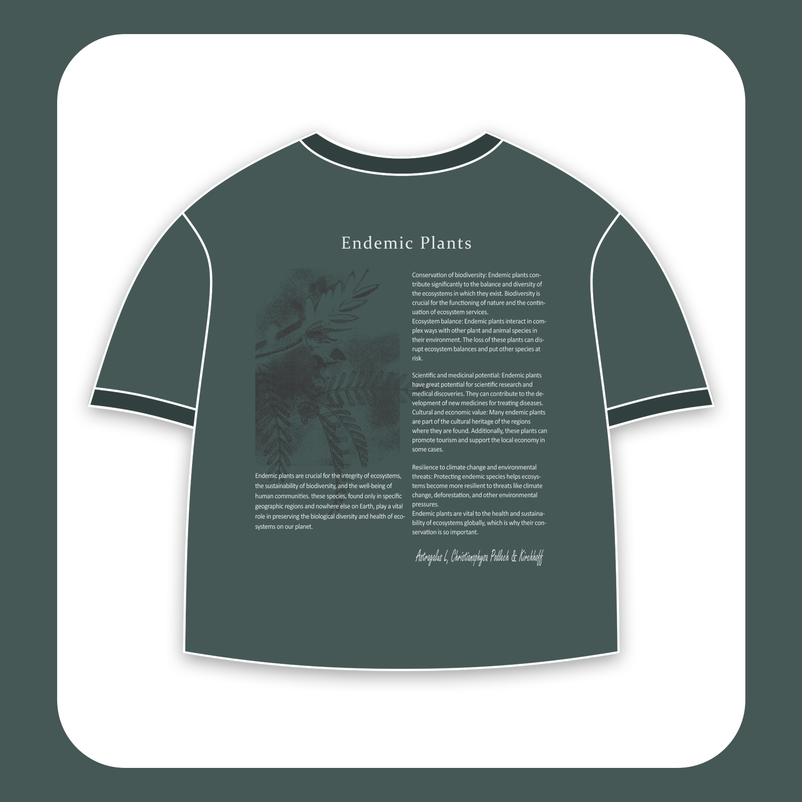 طرح سیلک Endemic Plants مناسب چاپ روی پشت لباس