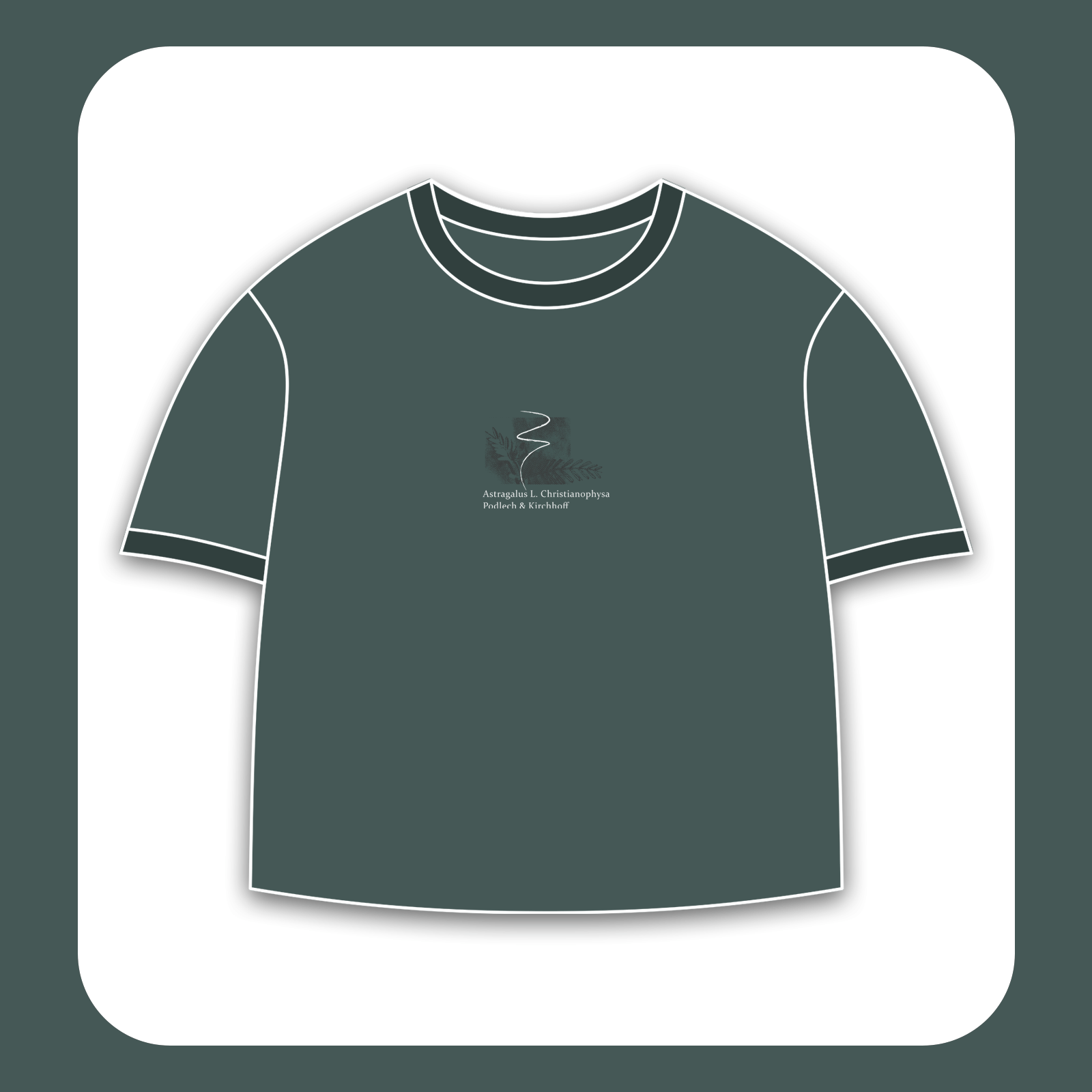 طرح سیلک گیاه Astragalus مناسب چاپ روی پیش لباس